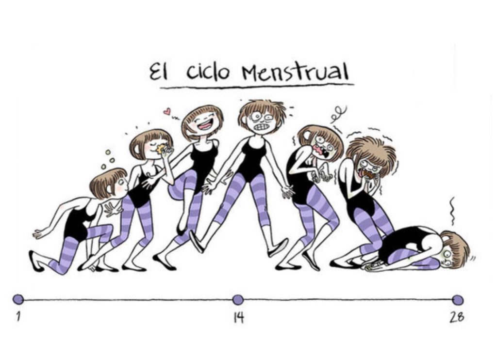 El Vínculo entre el Pelo y el Ciclo Menstrual